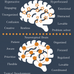 Screen Shot 2021-07-25 at 7.44.24 PM