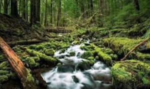 Screen Shot 2021-08-05 at 5.51.45 PM