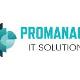 promanageitsolutions