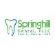 springushilldentist