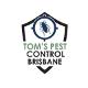 termite inspection brisbane